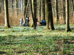 Lauenburg 140409 21 in