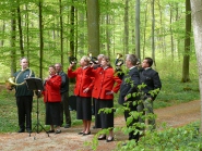 Lauenburg 2804 13 in 