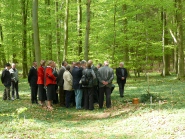 Lauenburg 2804 15 in 
