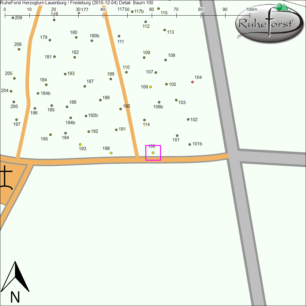 Detailkarte zu Baum 100