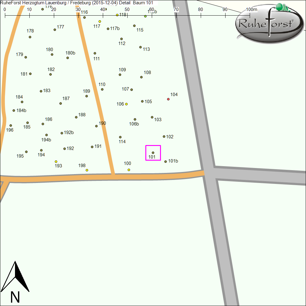 Detailkarte zu Baum 101