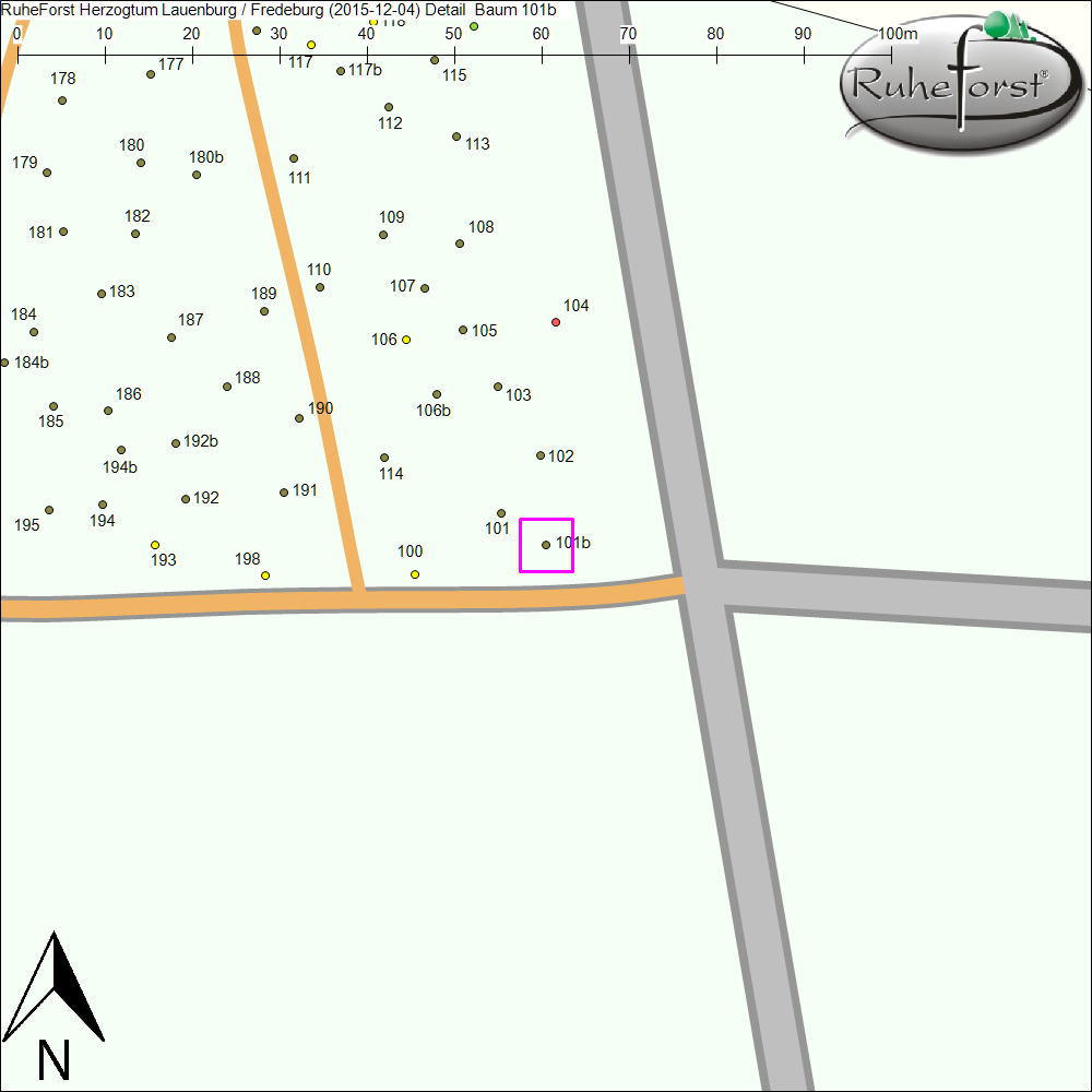 Detailkarte zu Baum 101b