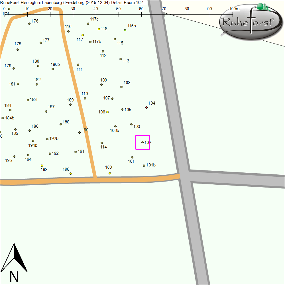 Detailkarte zu Baum 102