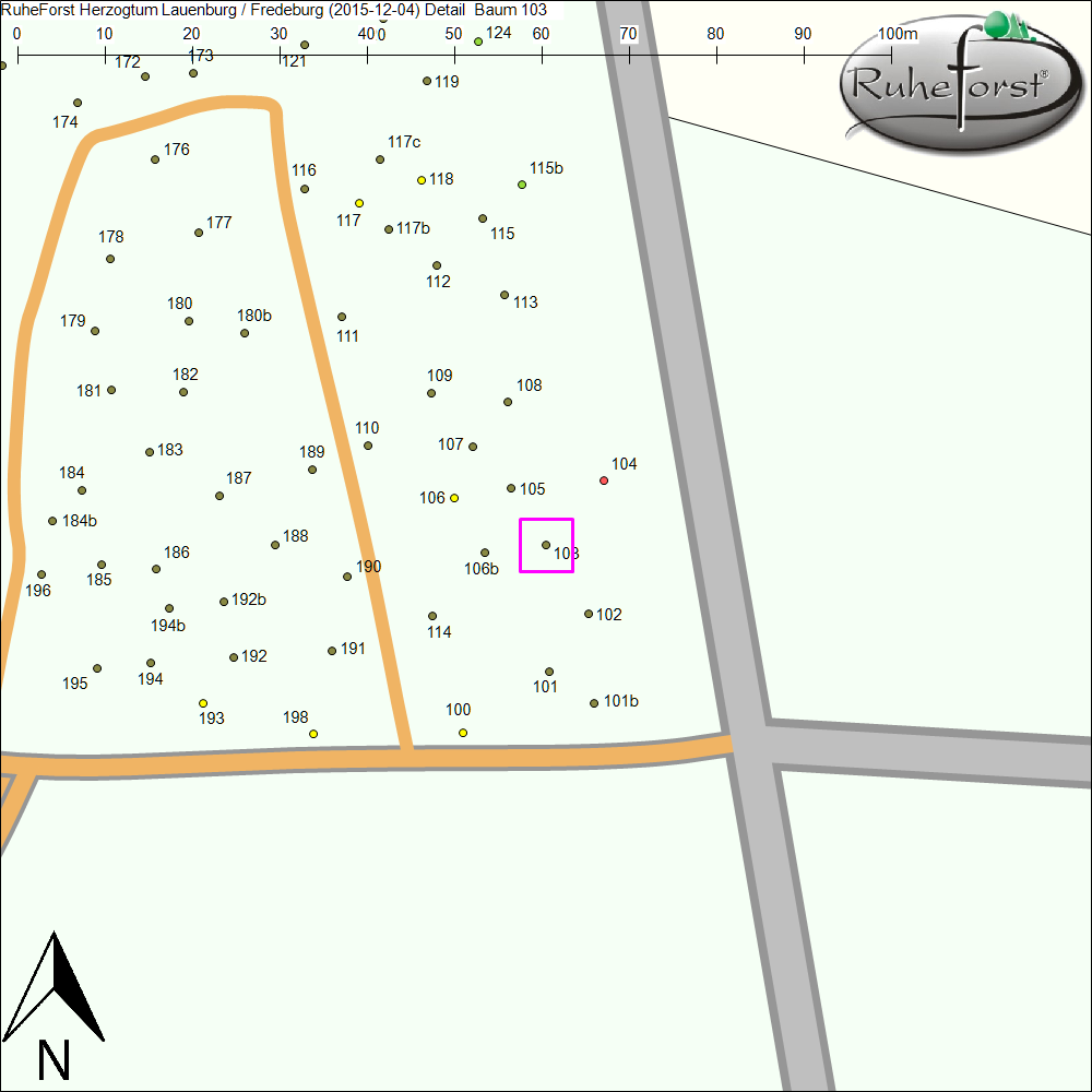 Detailkarte zu Baum 103