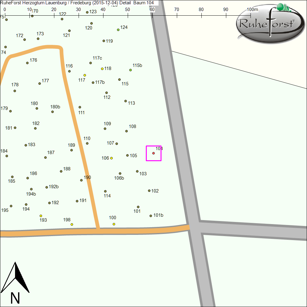 Detailkarte zu Baum 104