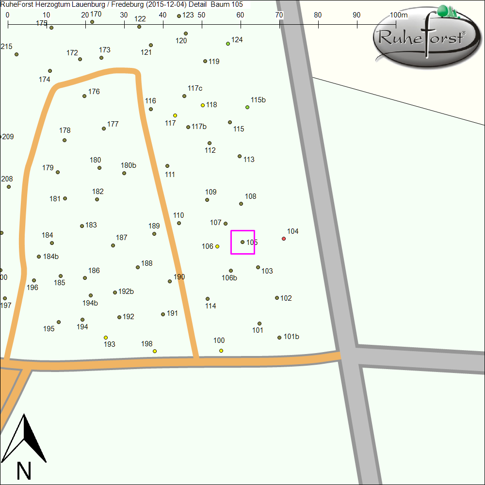 Detailkarte zu Baum 105