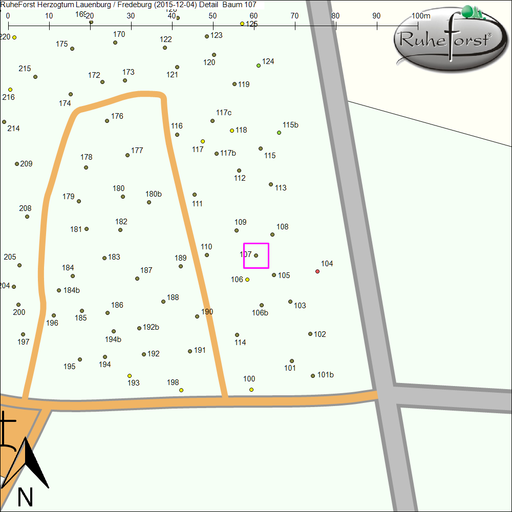 Detailkarte zu Baum 107