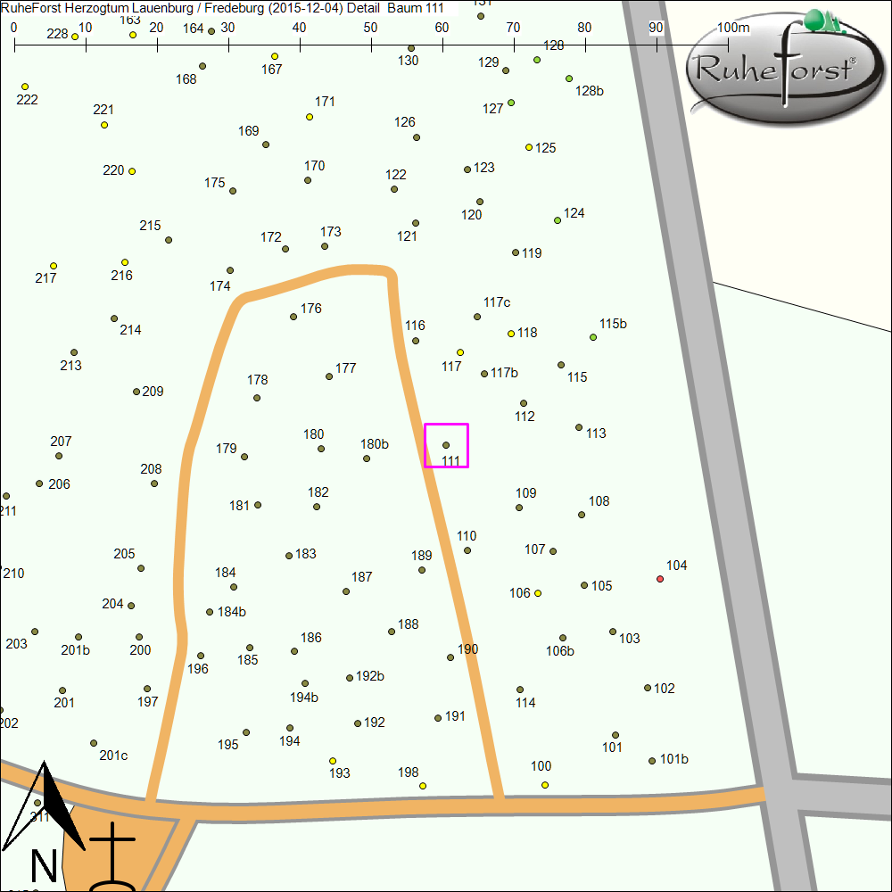 Detailkarte zu Baum 111