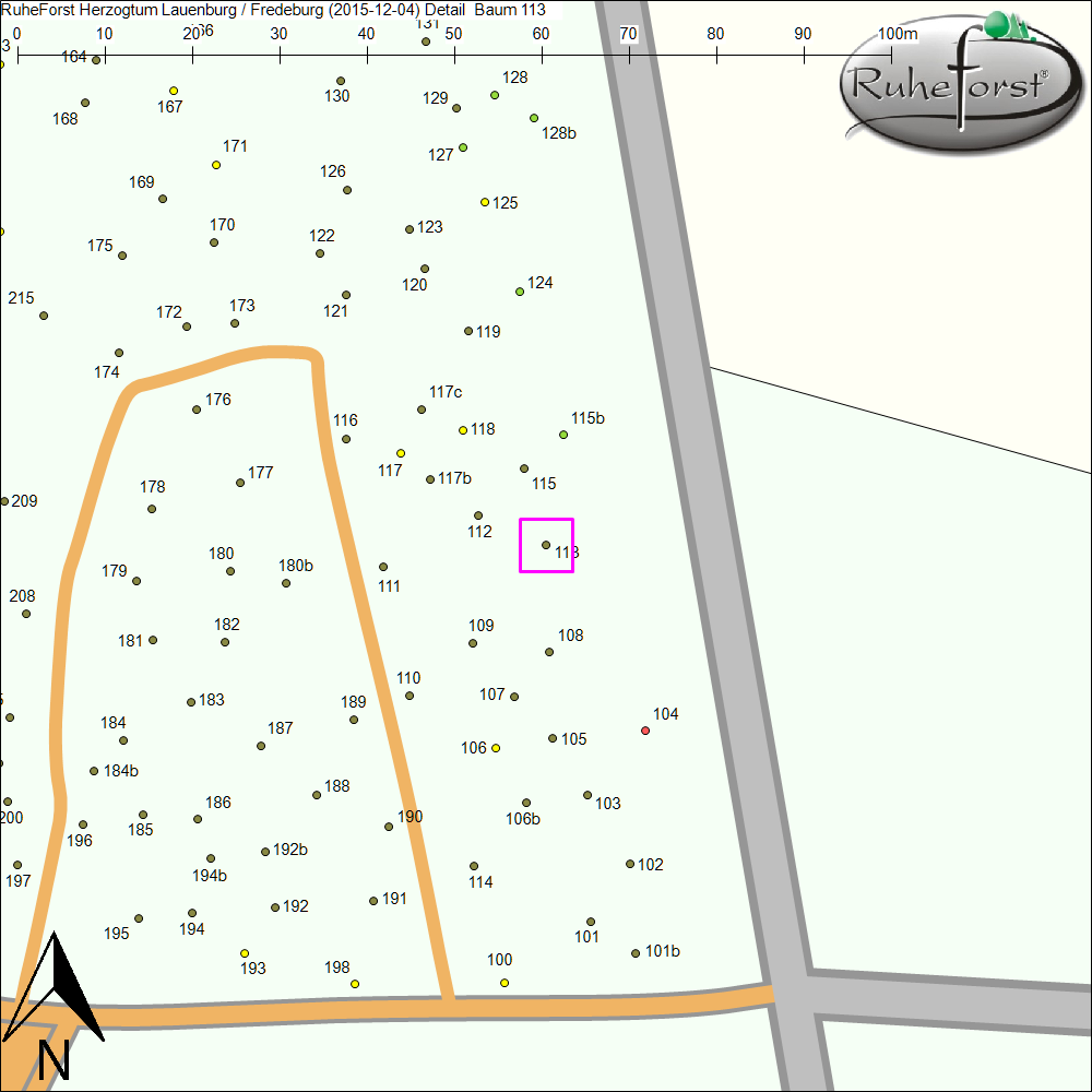 Detailkarte zu Baum 113