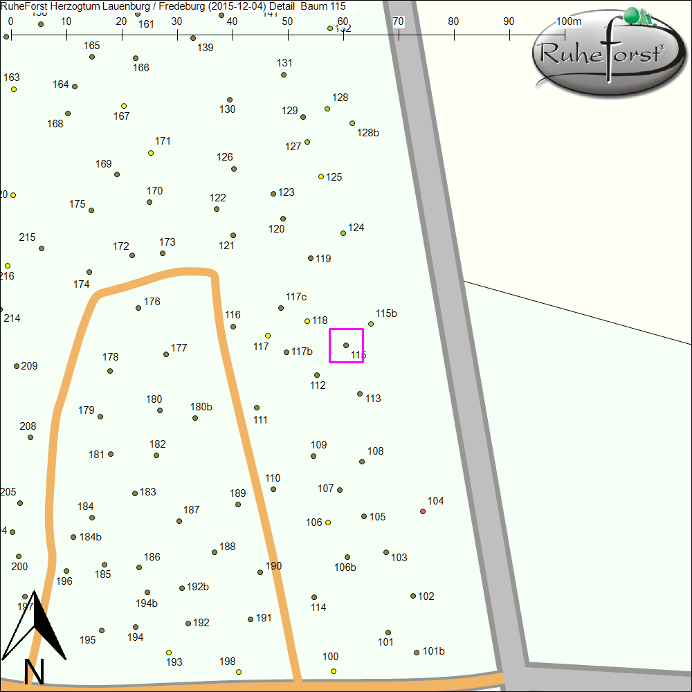 Detailkarte zu Baum 115