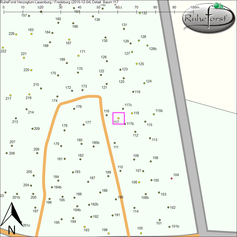 Detailkarte zu Baum 117