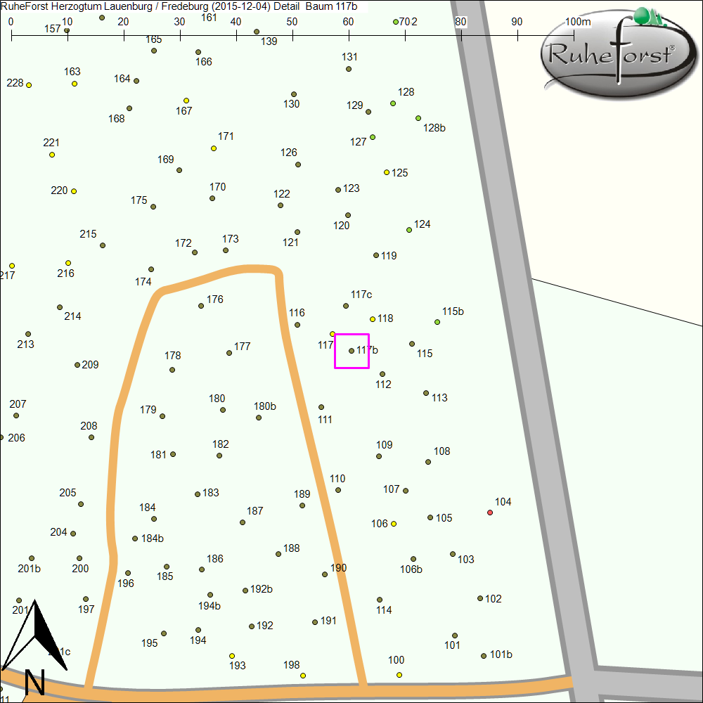 Detailkarte zu Baum 117b