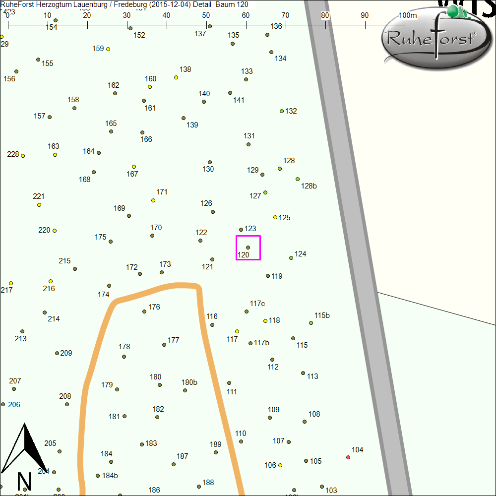 Detailkarte zu Baum 120
