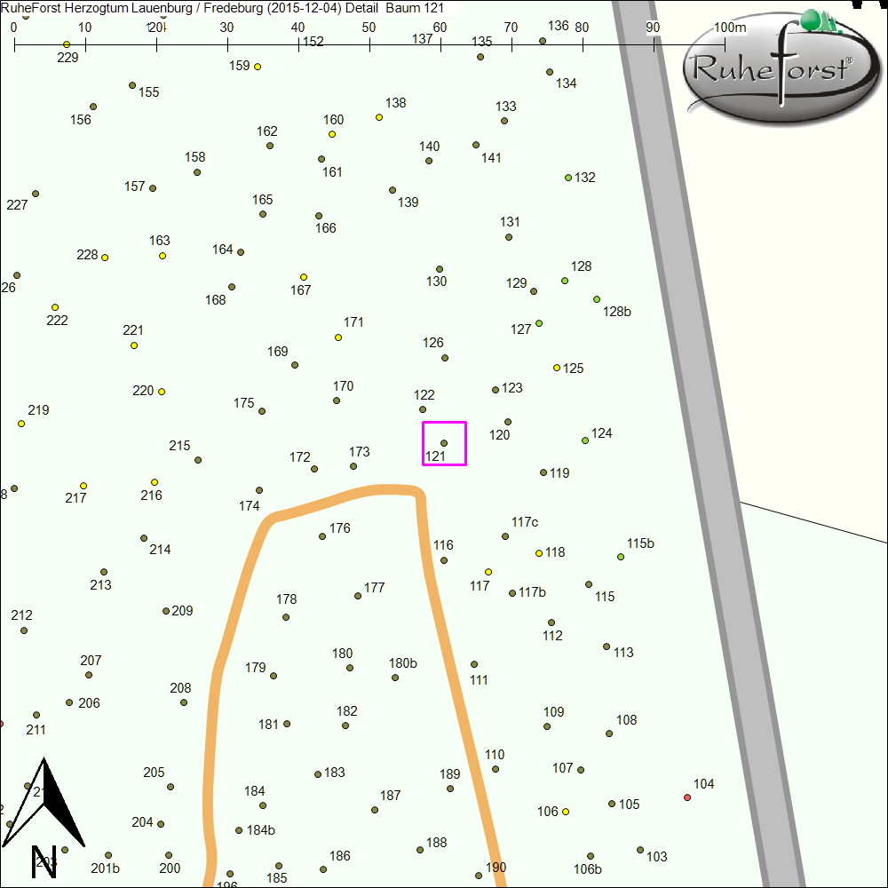 Detailkarte zu Baum 121