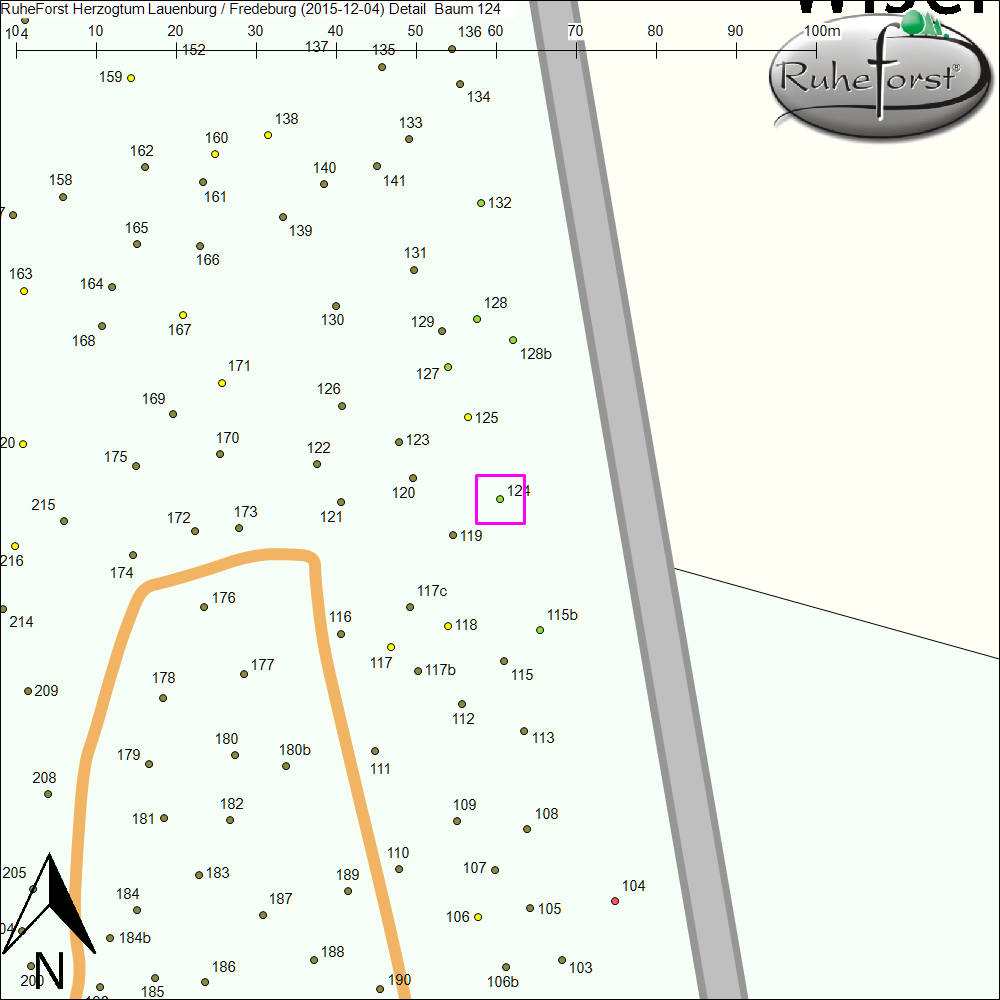 Detailkarte zu Baum 124
