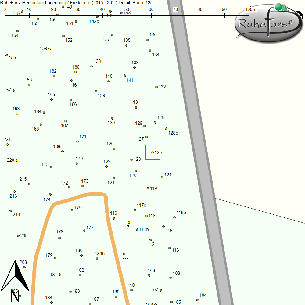Detailkarte zu Baum 125
