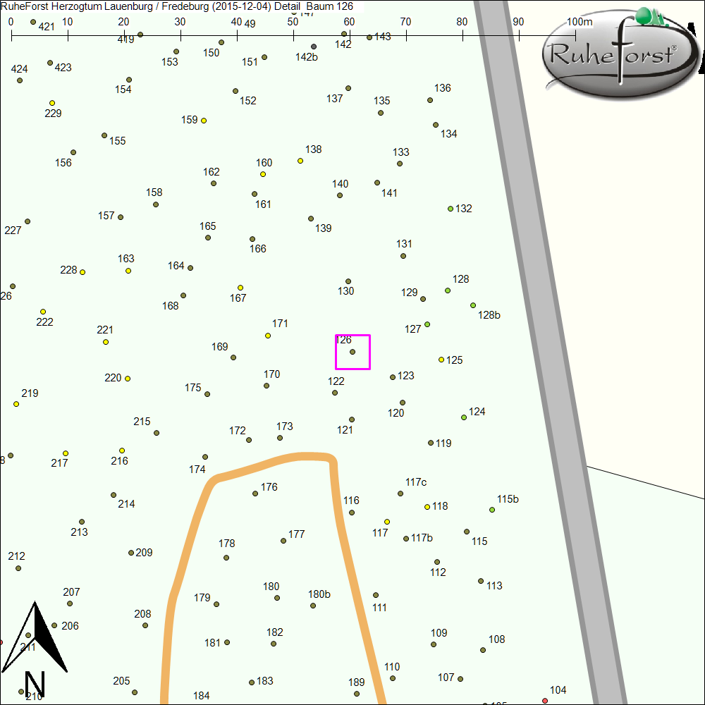 Detailkarte zu Baum 126