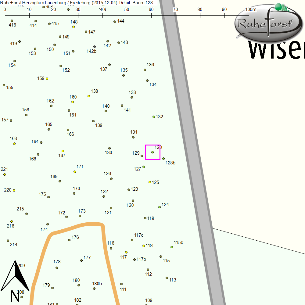 Detailkarte zu Baum 128