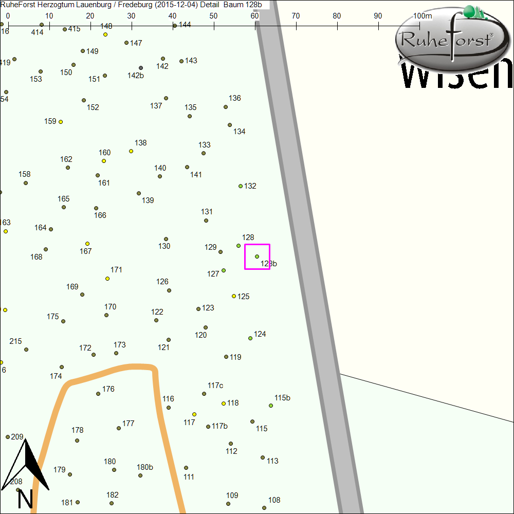 Detailkarte zu Baum 128b