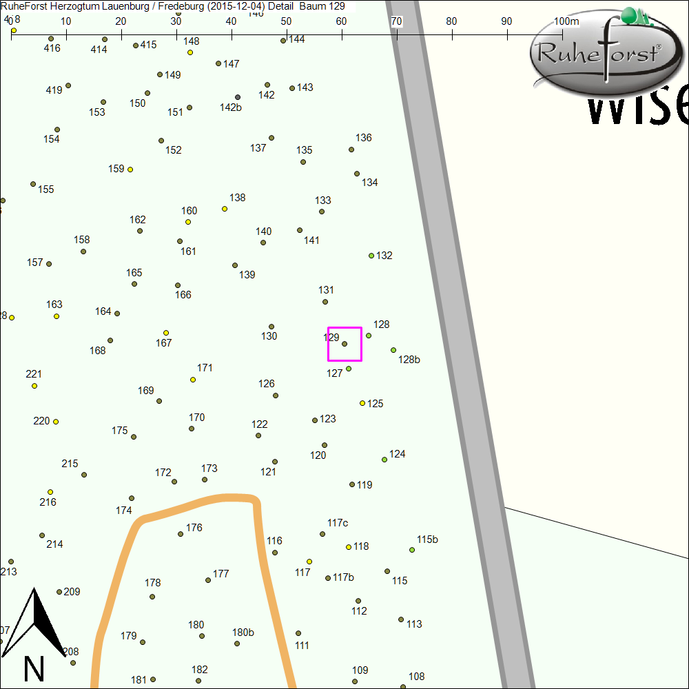 Detailkarte zu Baum 129