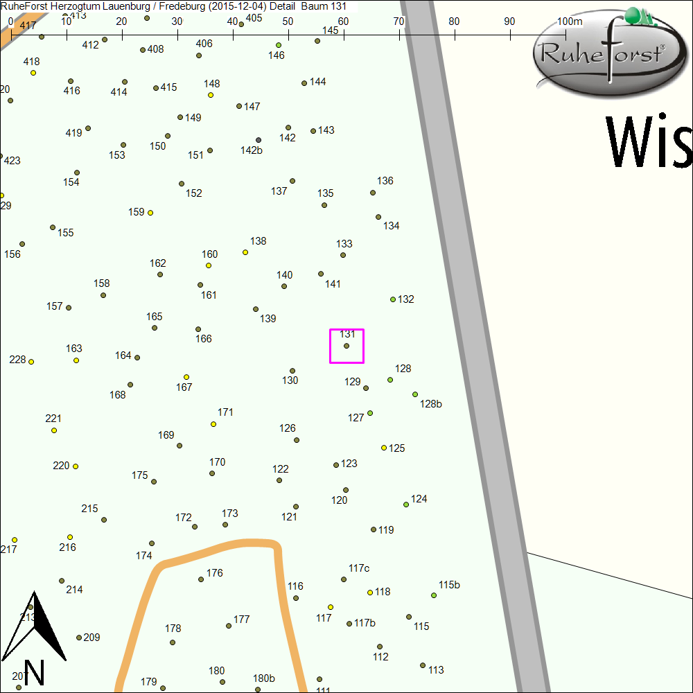 Detailkarte zu Baum 131