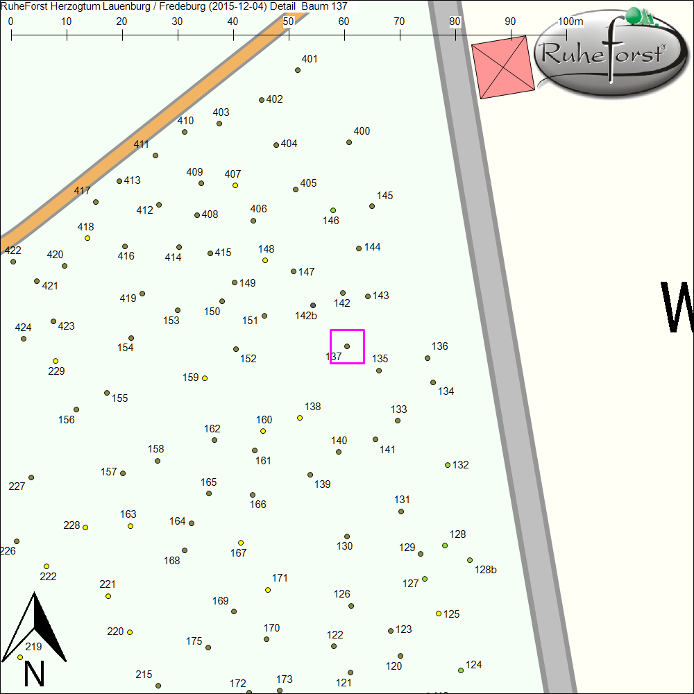 Detailkarte zu Baum 137