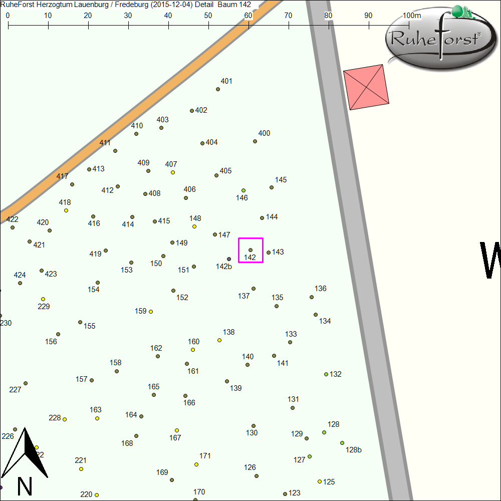 Detailkarte zu Baum 142