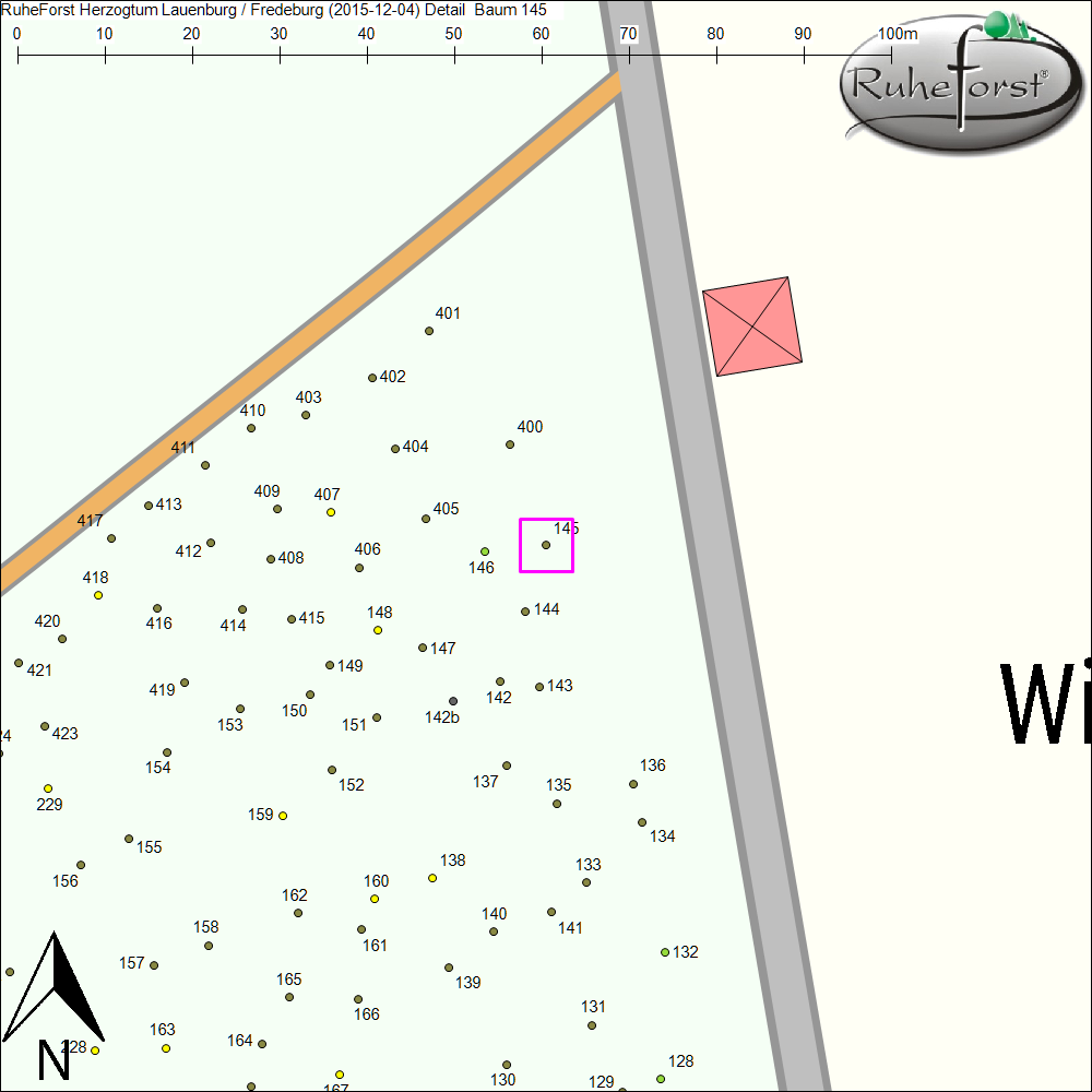 Detailkarte zu Baum 145