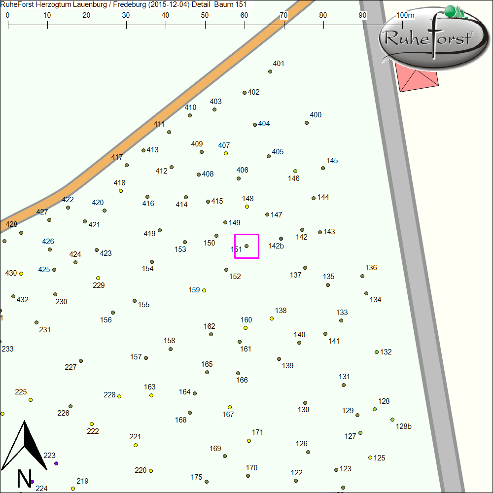 Detailkarte zu Baum 151