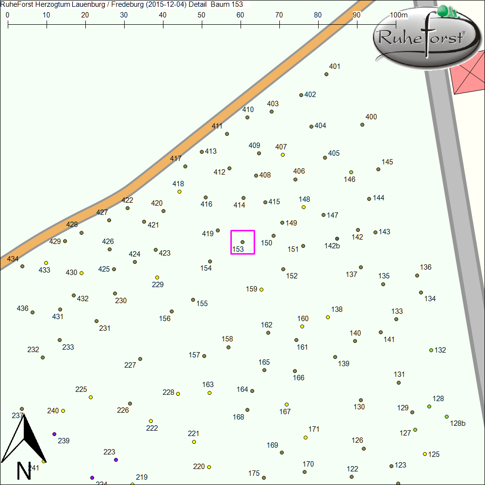 Detailkarte zu Baum 153