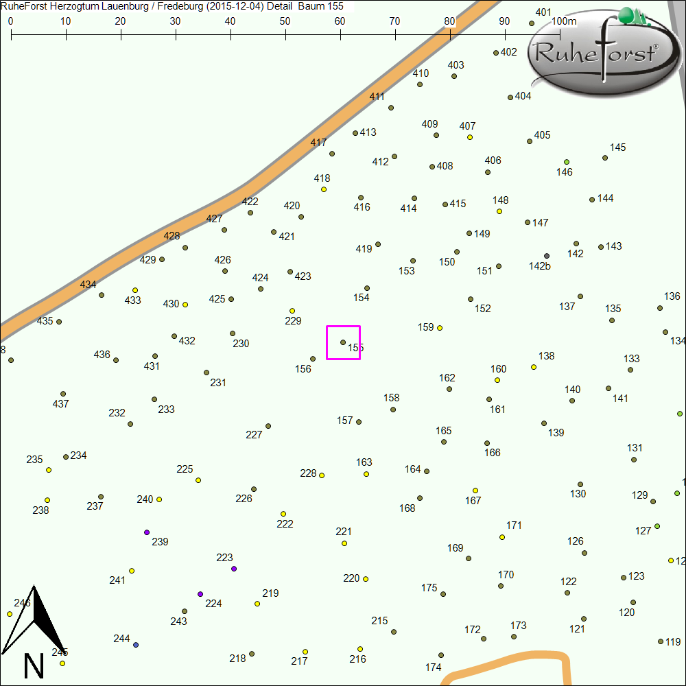 Detailkarte zu Baum 155