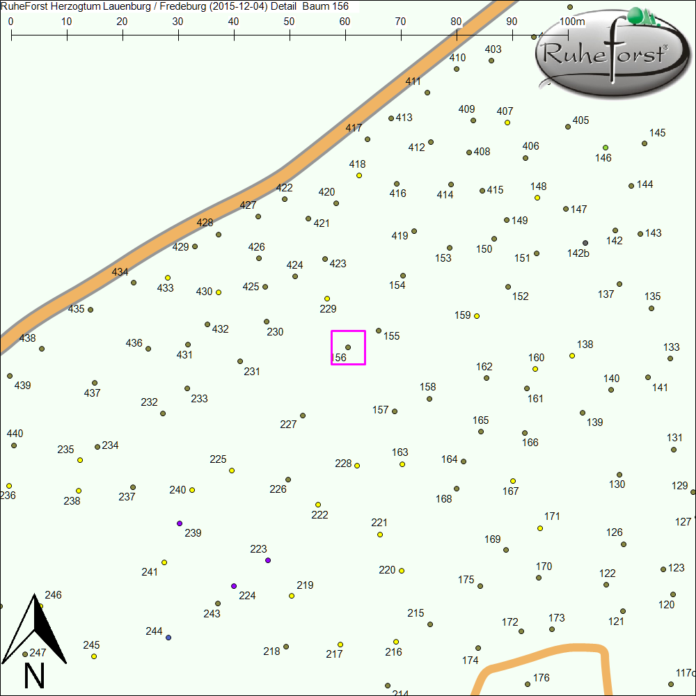 Detailkarte zu Baum 156