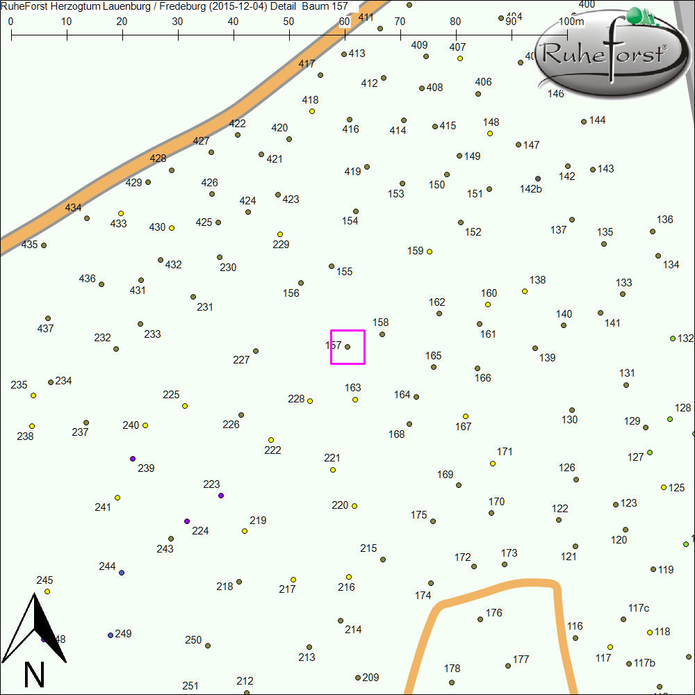Detailkarte zu Baum 157