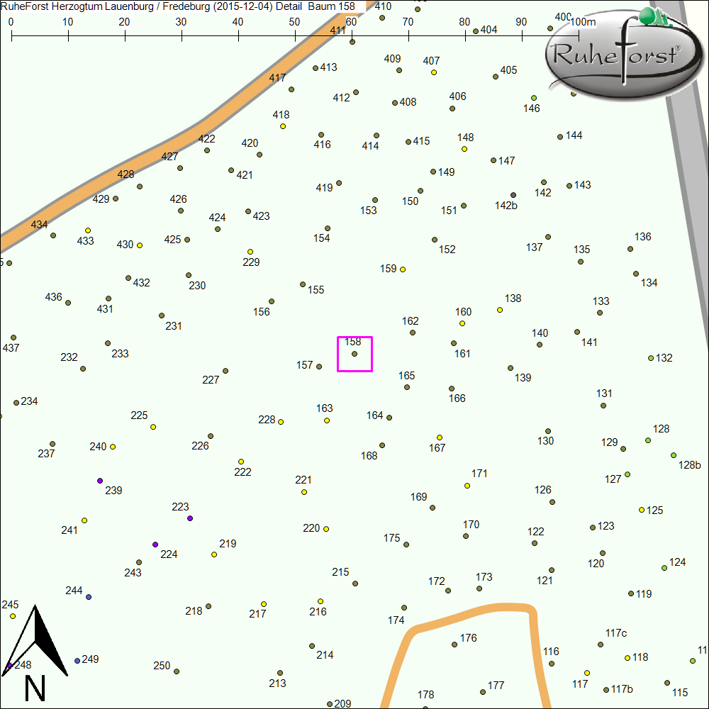 Detailkarte zu Baum 158