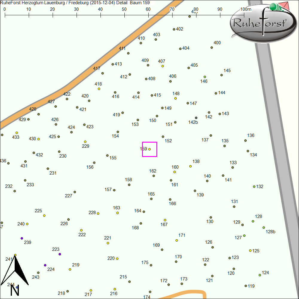 Detailkarte zu Baum 159