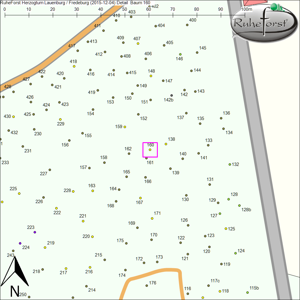 Detailkarte zu Baum 160