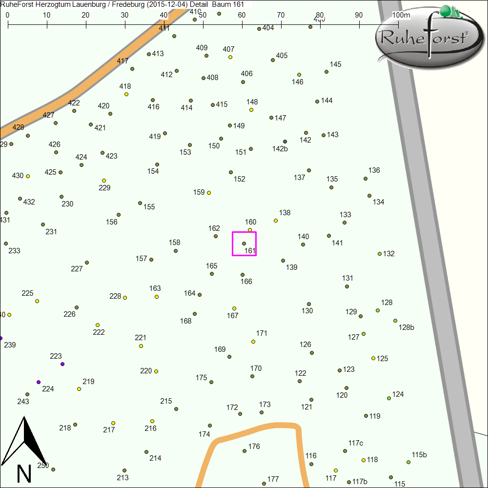Detailkarte zu Baum 161