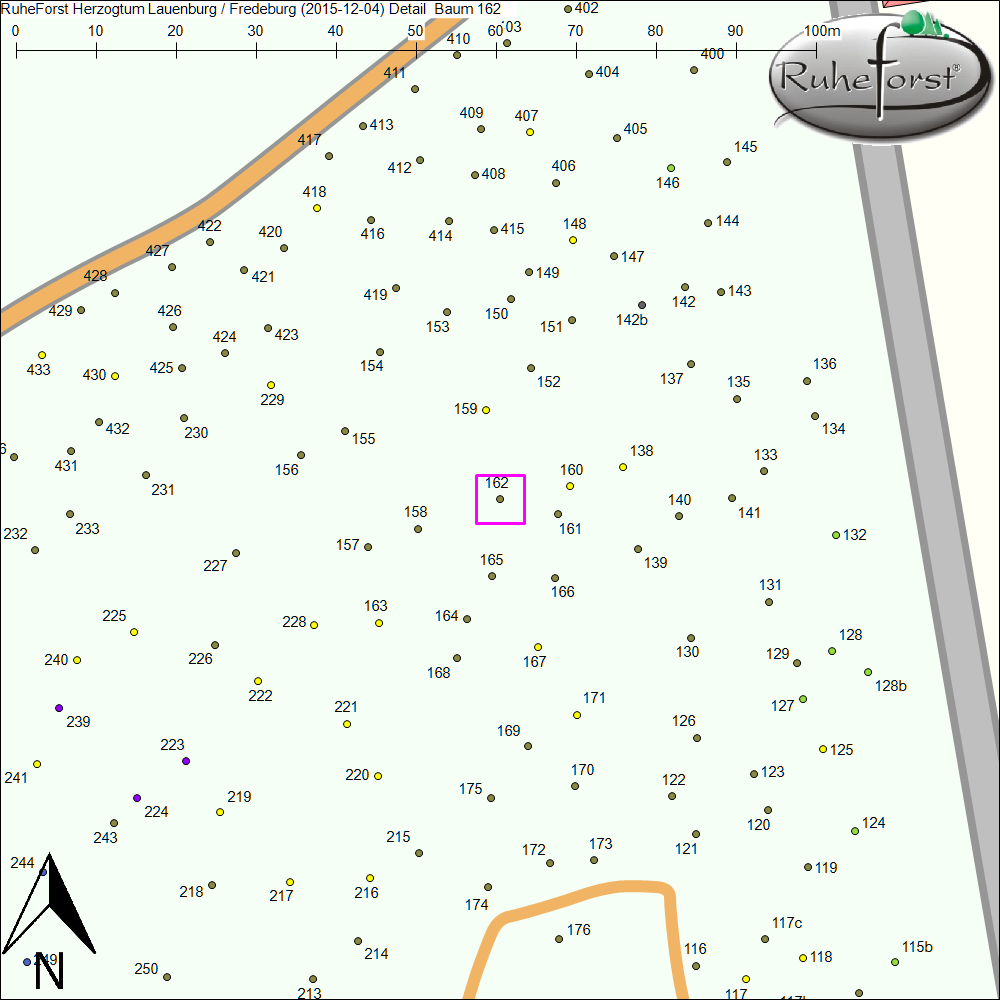 Detailkarte zu Baum 162