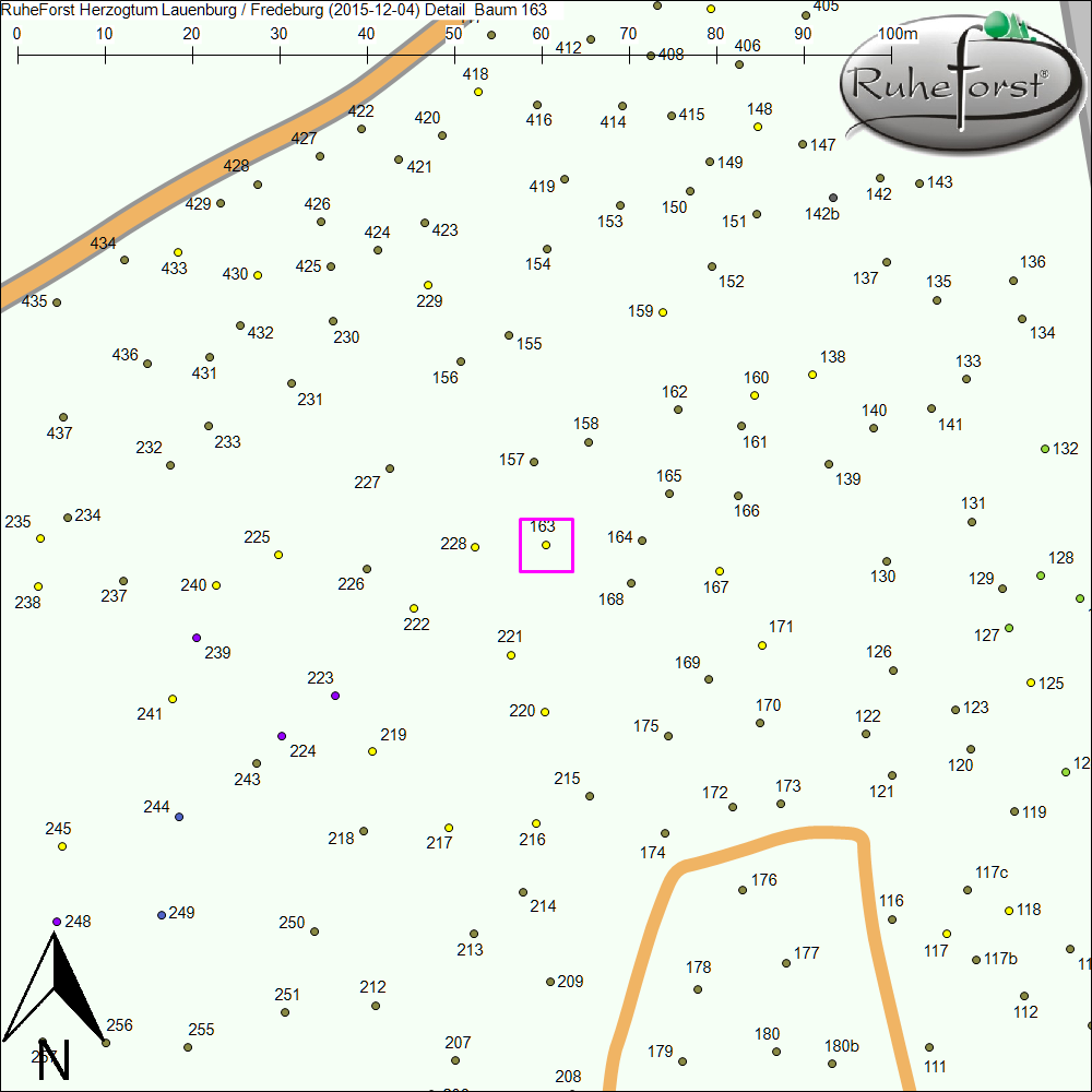 Detailkarte zu Baum 163