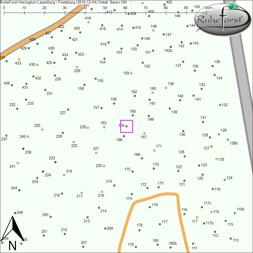 Detailkarte zu Baum 164