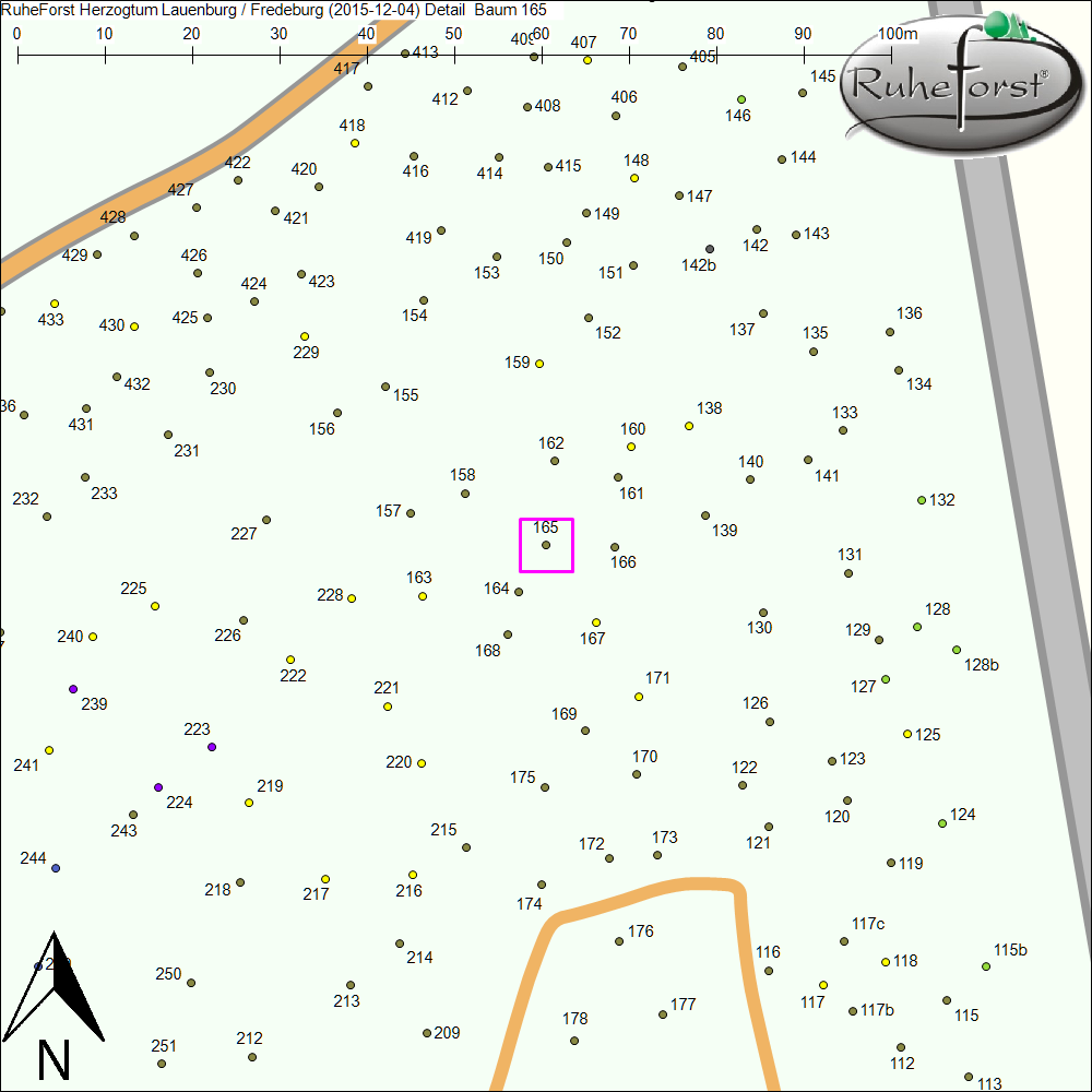 Detailkarte zu Baum 165
