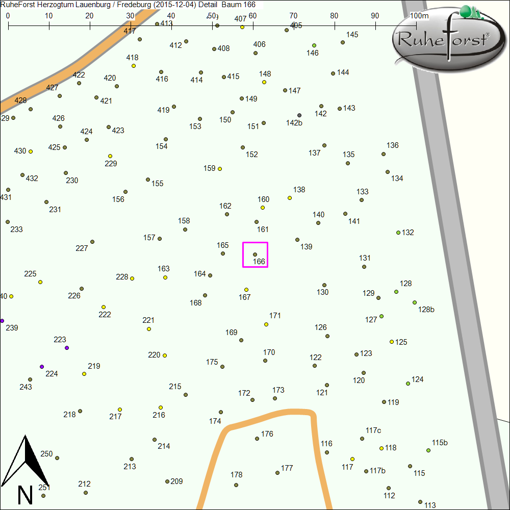 Detailkarte zu Baum 166