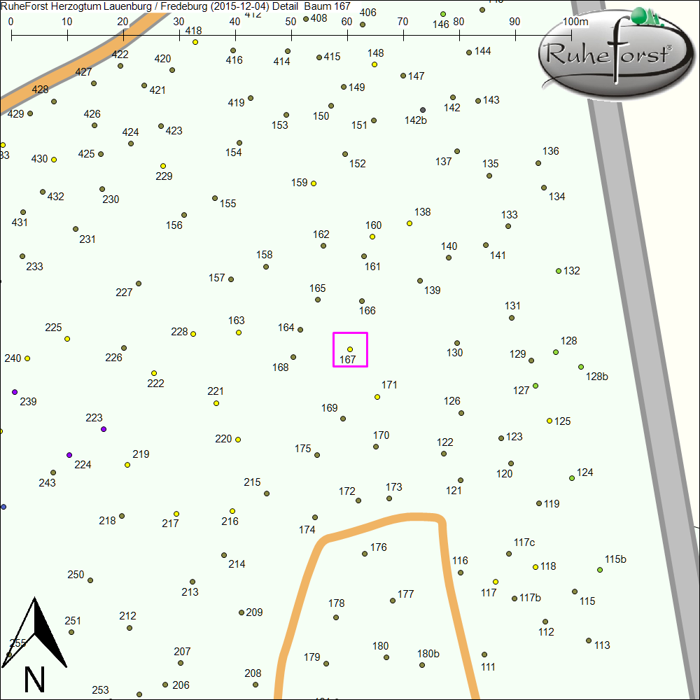 Detailkarte zu Baum 167