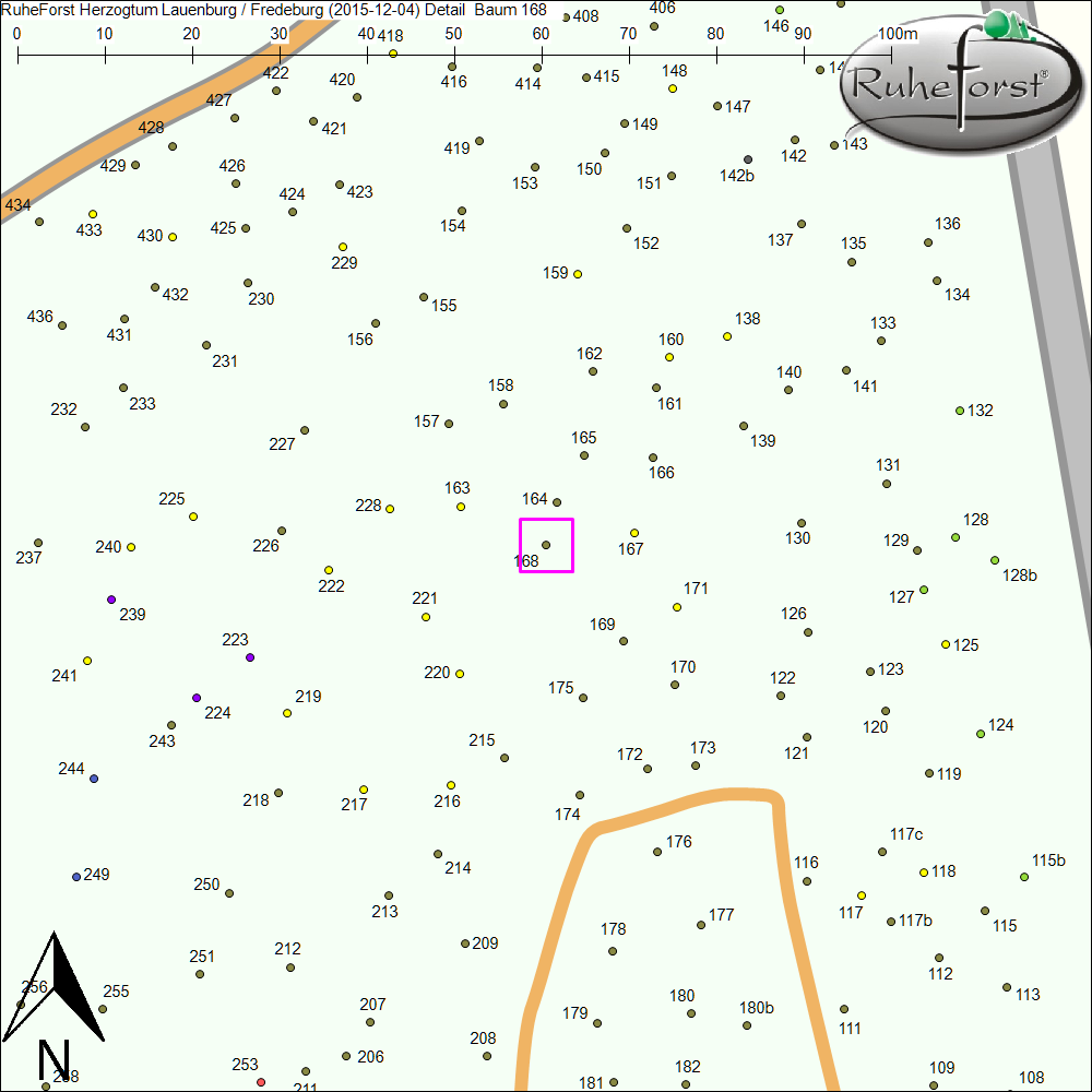 Detailkarte zu Baum 168