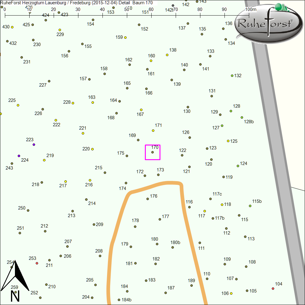 Detailkarte zu Baum 170
