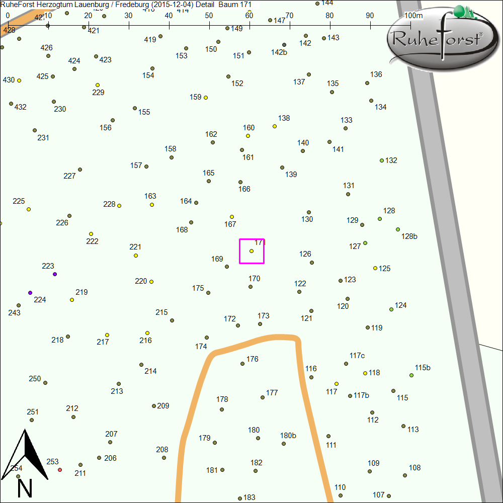 Detailkarte zu Baum 171