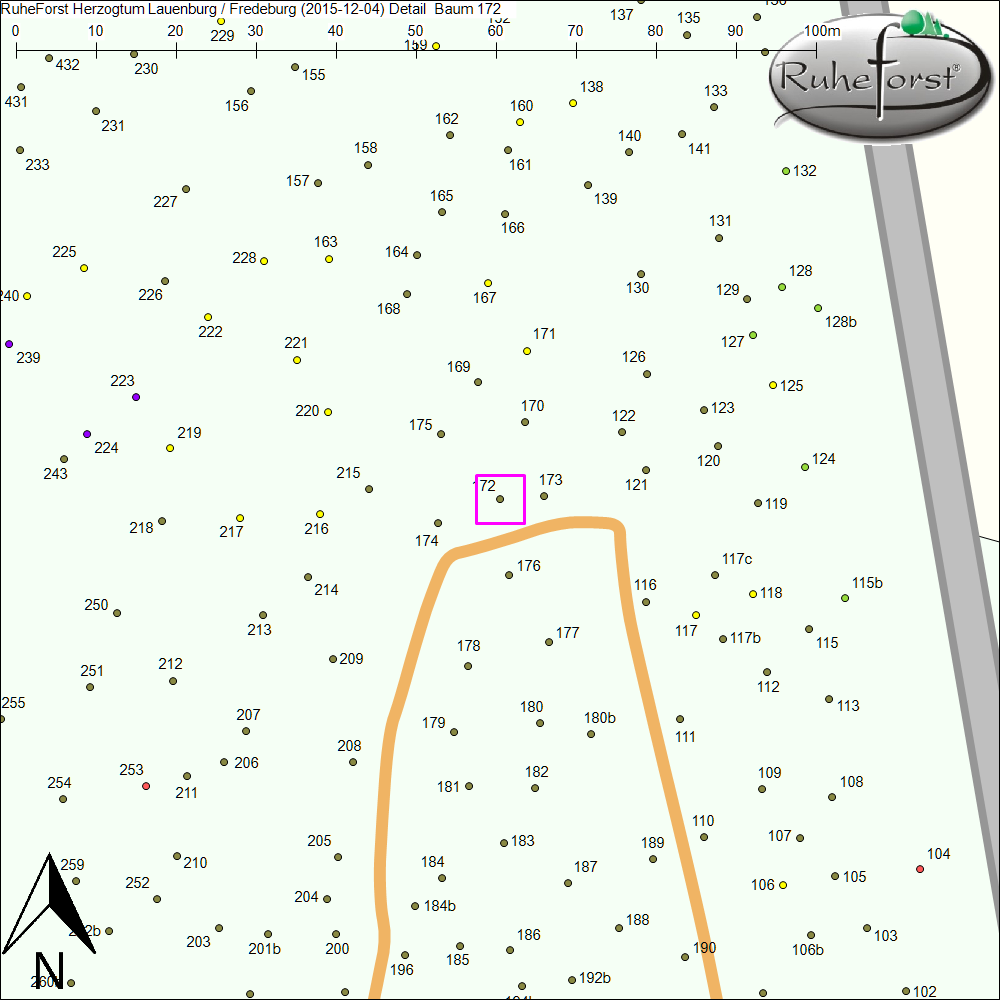 Detailkarte zu Baum 172