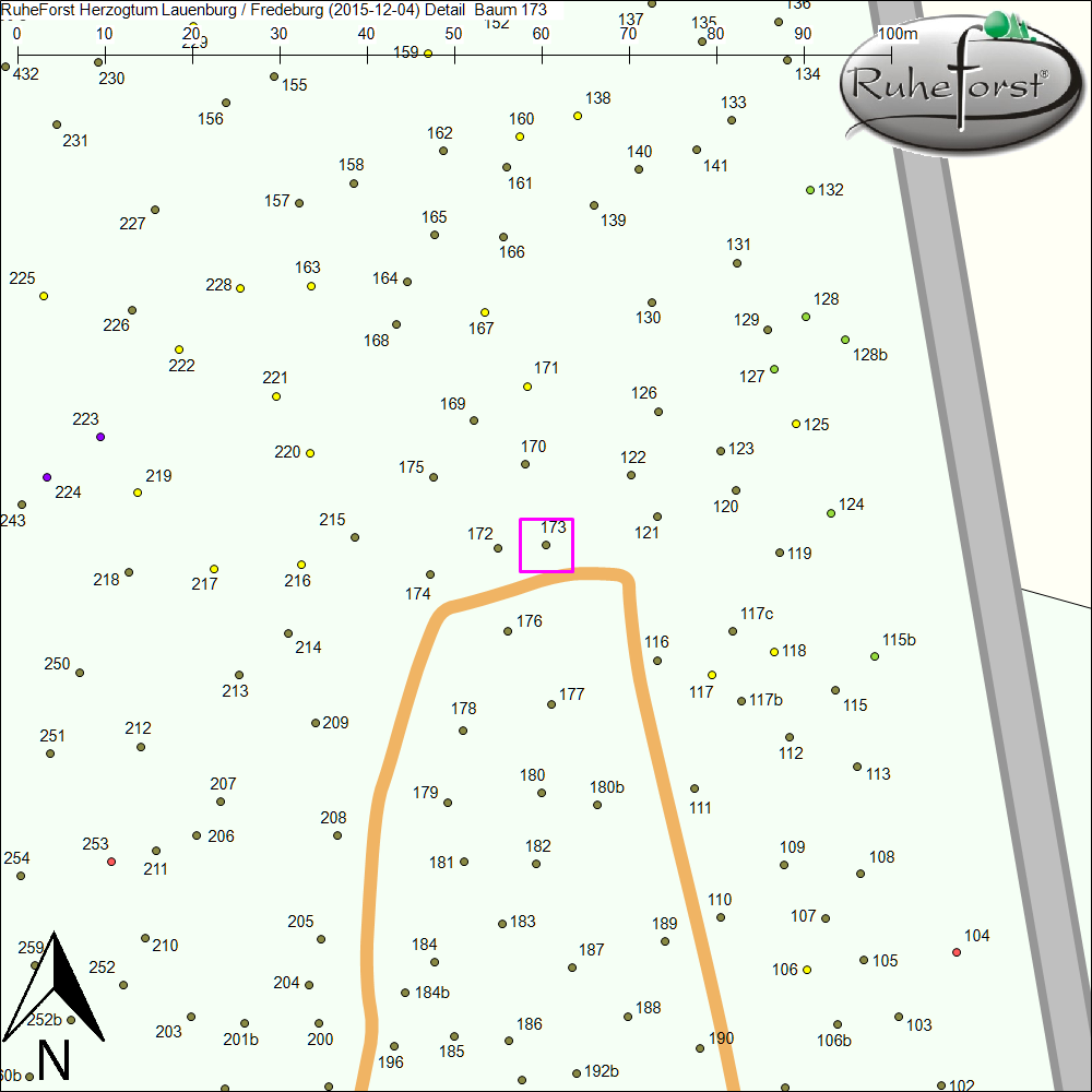 Detailkarte zu Baum 173