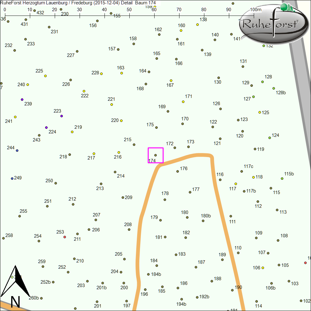 Detailkarte zu Baum 174