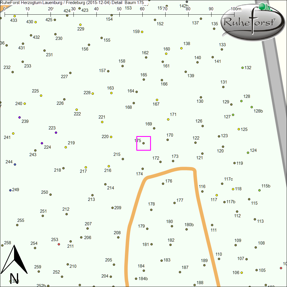 Detailkarte zu Baum 175
